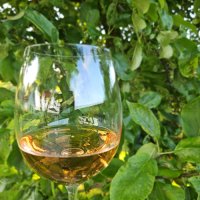Rosévin
