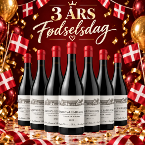 Savigny Les Beaune Domaine de Bellene 2023