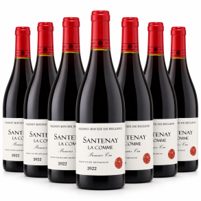 Maison Roche De Bellene Santenay La Comme Premier Cru 2022