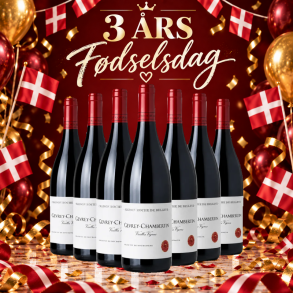 Gevrey Chambertin Vieilles Vignes Maison Roche de Bellene 2021