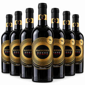 Magnifico Rosso Fuoco Primitivo