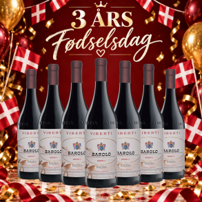 Viberti Barolo Riserva San Ravera