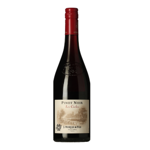J. Moreau Pinot Noir IGP