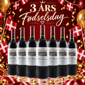 Clos Canon Saint-Emilion Grand Cru 2010