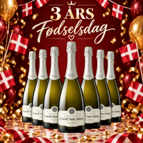 Castell Sant Antoni Cava Gran Reserva 2015