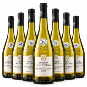 Domaine des Chausselieres Muscadet Sevre & Maine Sur Lie
