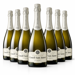 Castell Sant Antoni Cava Gran Reserva 2015