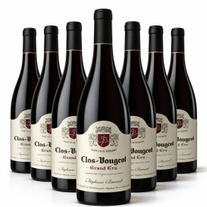 St�phane Brocard Clos de Vougeot Grand Cru 2001