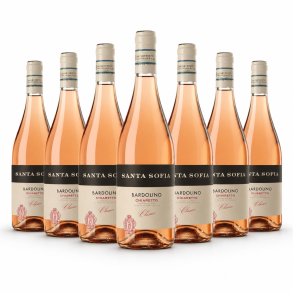 Bardolino Chiaretto rose