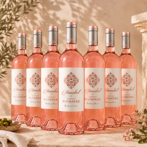 Annabel Chateau Puybare Rose