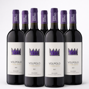 Podere Sapaio Bolgheri Volpolo 2021