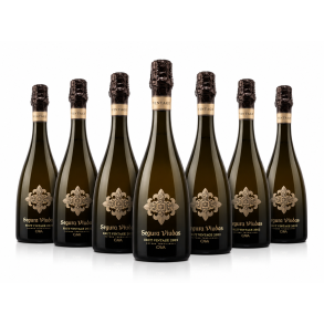 Segura Viudas Cava Brut Vintage 2022