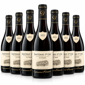 Santenay Premier Cru La Comme Capuano Ferreri
